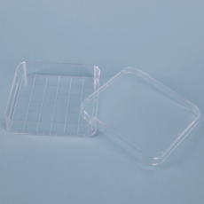 Square Petri Dish 사각 페트리 디쉬, Polystyrene