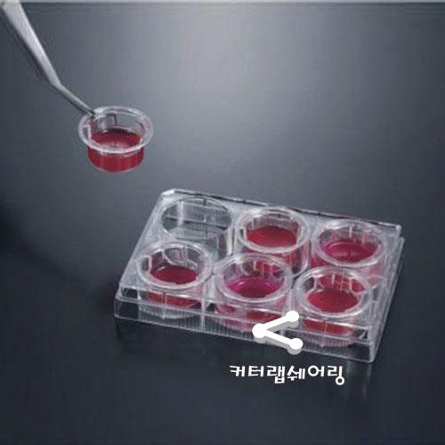 세포 배양 플레이트 Cell culture insert plates, PET