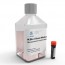 KSB-3 Complete Medium® Kit - The Innovation of Medium for Mesenchymal Stem Cells