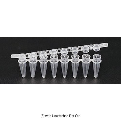 Wisd PP 0.2㎖ PCR 8-Strips Tube, Transparency, Ultra Thin Wall, -196℃+121℃With Domed or Flat Cap, DNase-·RNase-·Pyrogen- and Endotoxin-free, CE Certified, 0.2㎖ PCR 스트립 튜브와 캡