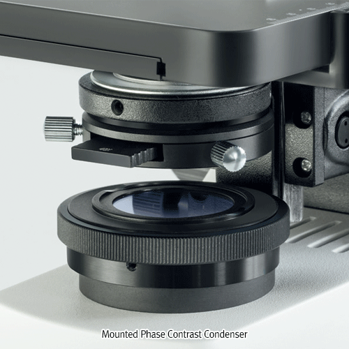 Kern® High-quality Phase Contrast Microscope “OBL-14”, Pre-centred Phase Contrast Condenser with Aperture Diaphragm, 40× ~ 1000× <br>With 20W Halogen illumination, PH10×/ PH40× Objectives, 1.25 Abbe Condenser, Large Mechanical Stage, 위상차 생물 현미경