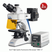 Kern® High Quality Fluorescence Microscope “OBN-14”, Fluorescence Refracted Light Unit with Power Supply, 40× ~ 1000× <br>With 20W Halogen illumination Unit and 100W EPI Fluorescence Incident illumination Unit, 고성능 형광 현미경