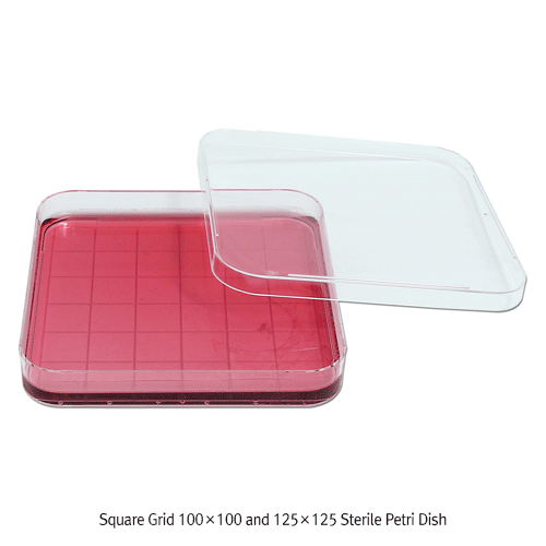 Square Grid 100×100 and 125×125 Sterile Petri Dish, PS<br>Made of Crystal Clear Polystyrene(PS), Disposable, 눈금 4각 멸균 페트리디쉬