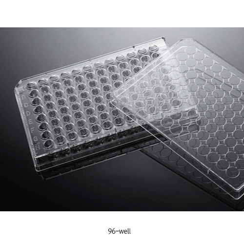 Biofil® Cell and Tissue Culture Plate, PS, TC-Treated & Non-Treated Surface, 6·12·24·48·96·384-Flat Well<br>With Lid, Labeled Alphanumeric Code, Individual Packing, γ-Sterile, 컬쳐 플레이트