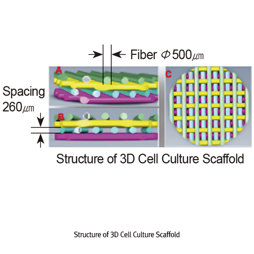 Biofil® CellSCAFLD® 3D Treated Culture Plate, with Scaffold Insert, PS, 6·12·24-Well<br>Ideal Simulation Environment for In-vivo Pattern, 3D Porous Structure, γ-Sterile, 3D 셀 컬쳐 플레이트