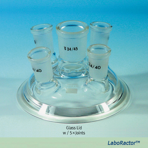 LaboRactorTM 0.5~20 Lit Suspended Vacuum Reactor Set, with Jacketed Glass Vessel·Agitator·Frame·Glass Assembly<br>With DN O-Ring Flange·PTFE Impeller·PTFE Drainvalve, Digital 50~1000rpm, 행잉 타입 자켓 글라스 진공 반응조 세트 0.5~20 Lit