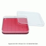 Square Grid 100×100 and 125×125 Sterile Petri Dish, PS<br>Made of Crystal Clear Polystyrene(PS), Disposable, 눈금 4각 멸균 페트리디쉬